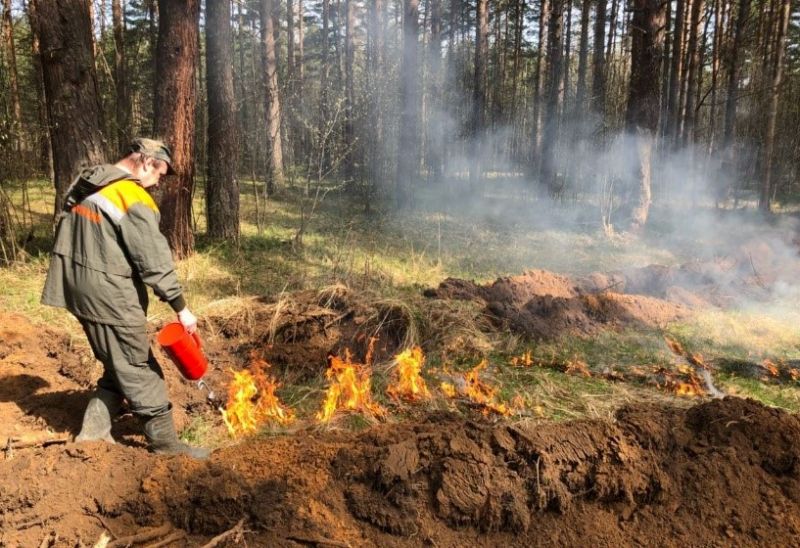 Охрана леса от пожара